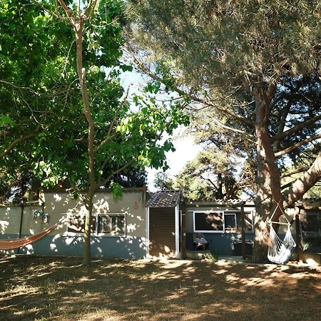 הוילה Kalliopi Limnos Stone House מראה חיצוני תמונה
